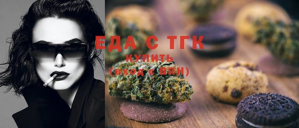 гидра Верхний Тагил