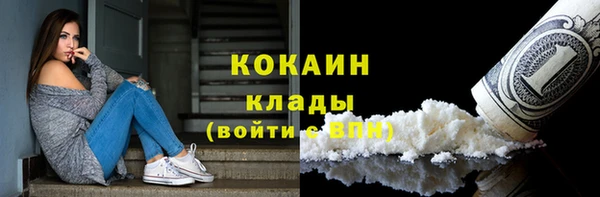 гидра Верхний Тагил