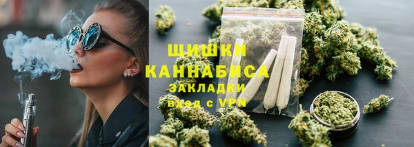 гидра Верхний Тагил