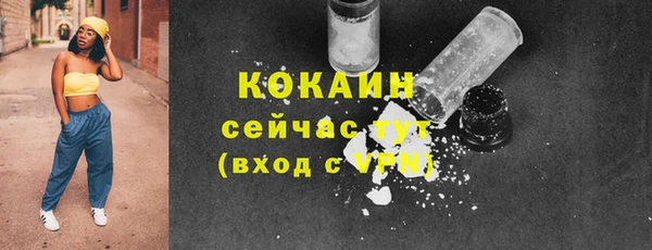 гидра Верхний Тагил