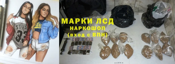 гидра Верхний Тагил