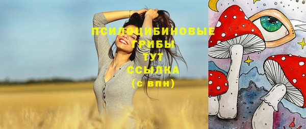 прущие грибы Апатиты