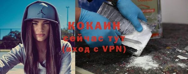гидра Верхний Тагил