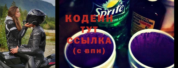 гидра Верхний Тагил