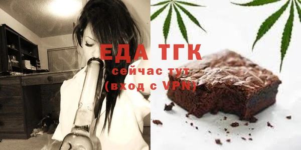 гидра Верхний Тагил