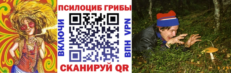 Псилоцибиновые грибы Cubensis  Весьегонск 